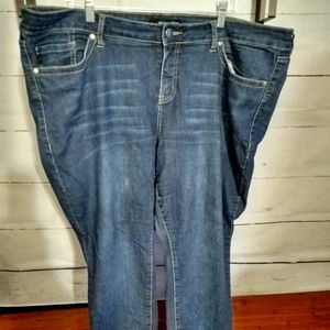Torrid plus size jeans sz22